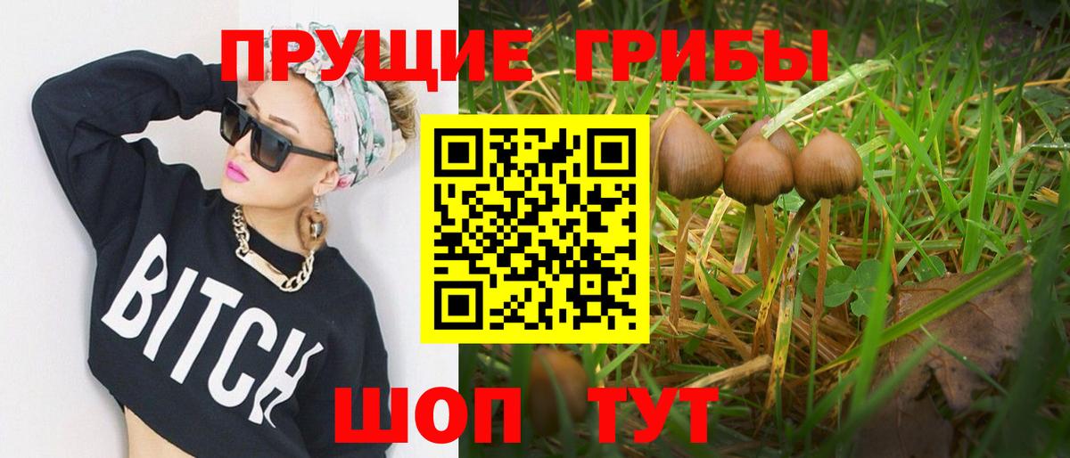 Галлюциногенные грибы Cubensis Кирово-Чепецк