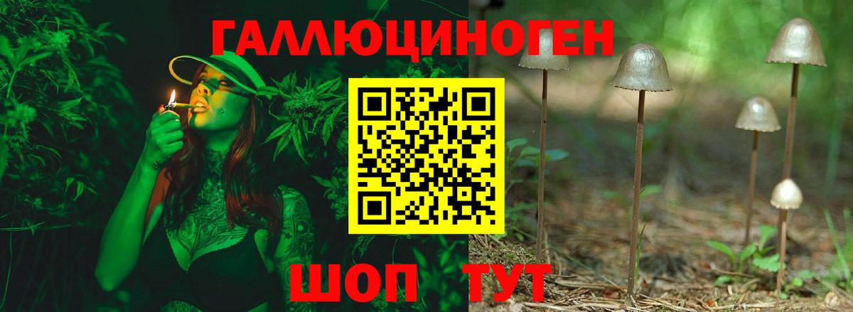Псилоцибиновые грибы мицелий  Вход с VPN  Кирово-Чепецк 